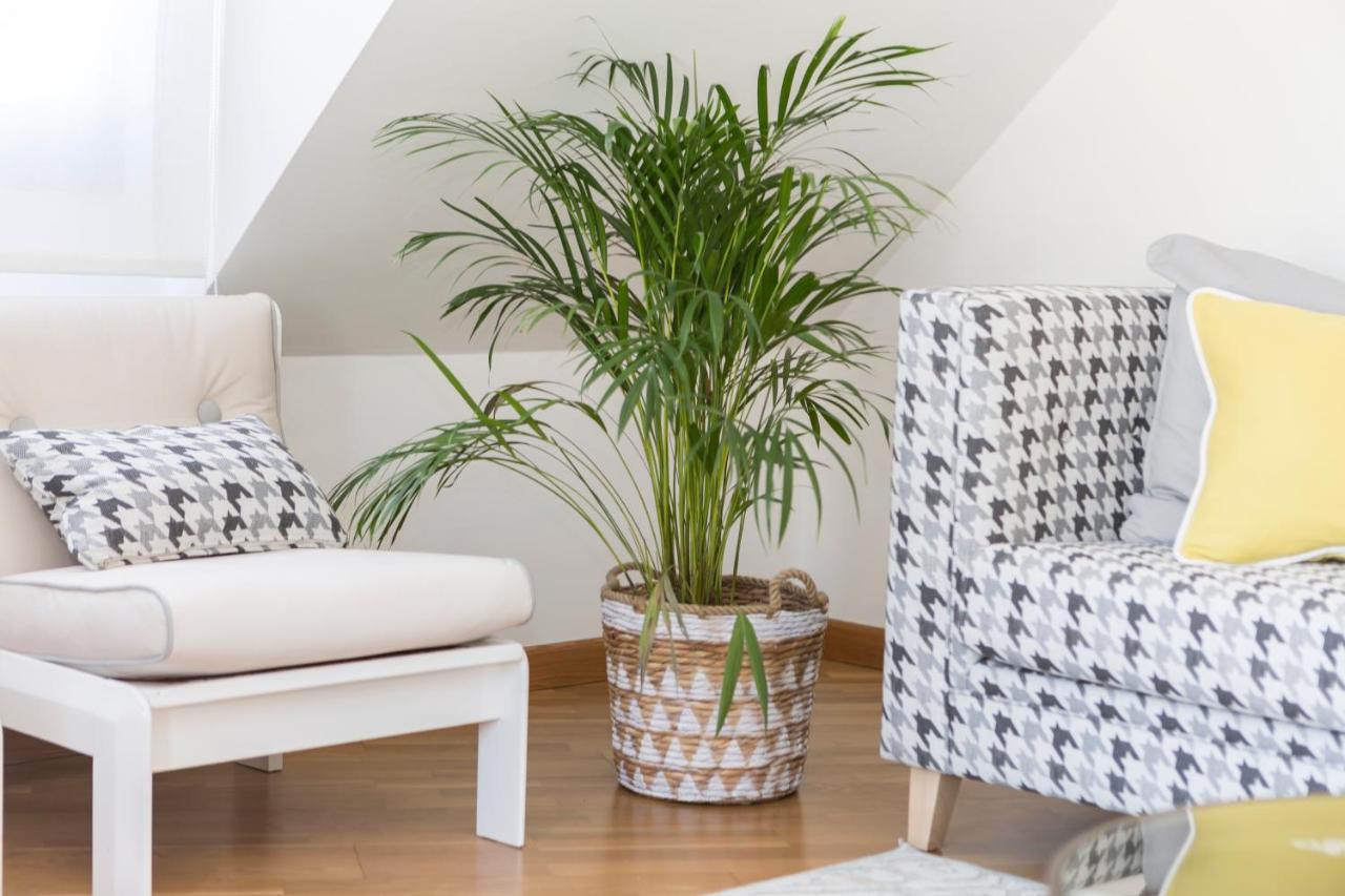 Apartamento Boutique Con Terraza Y Vistas Al Mar. Porto Vilanova Villanueva De Arosa Luaran gambar